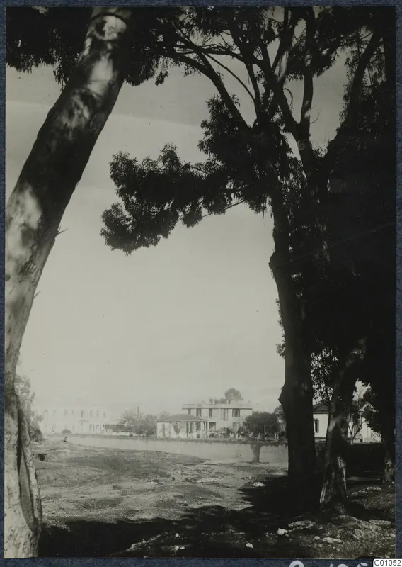 Tree trunks frame a view across open ground and a strip of water to buildings at Nicosia