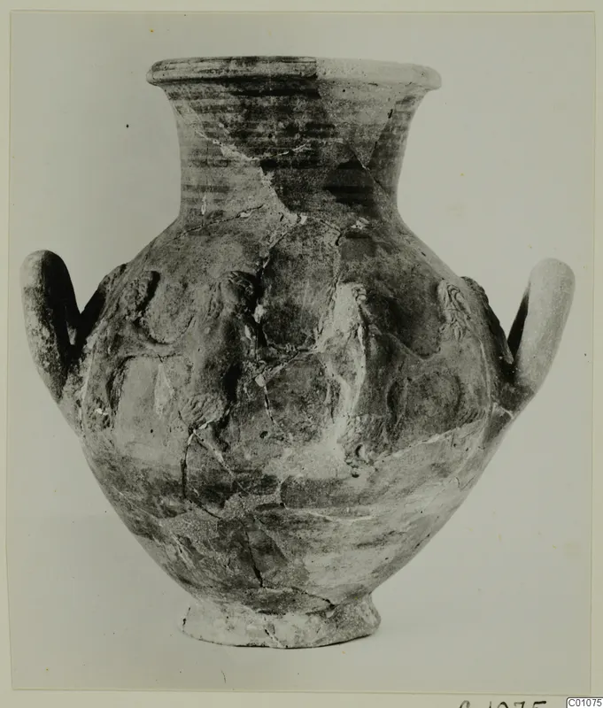 Two-handled pottery jar with a flared neck and raised relief decoration on the body, photographed against a plain background.