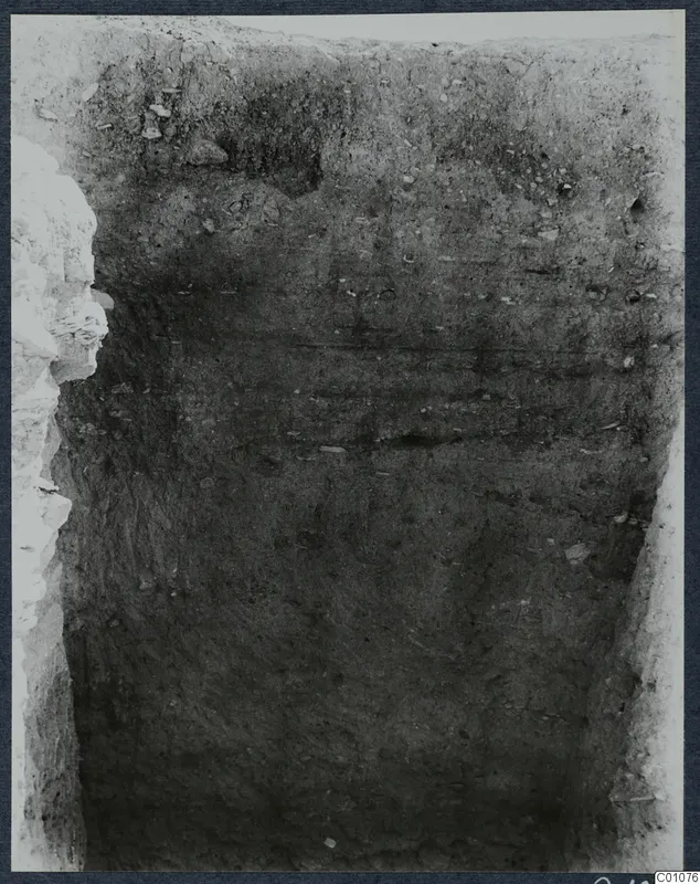 Excavated trench face at Idalion acropolis showing layered soil and scattered stones