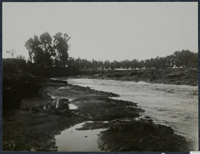 River channel with sandy banks, stony debris and a line of trees along the far bank.