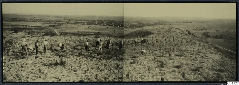 Panoramic view of the acropolis hill at Idalion before excavation, with men working across the stony slope