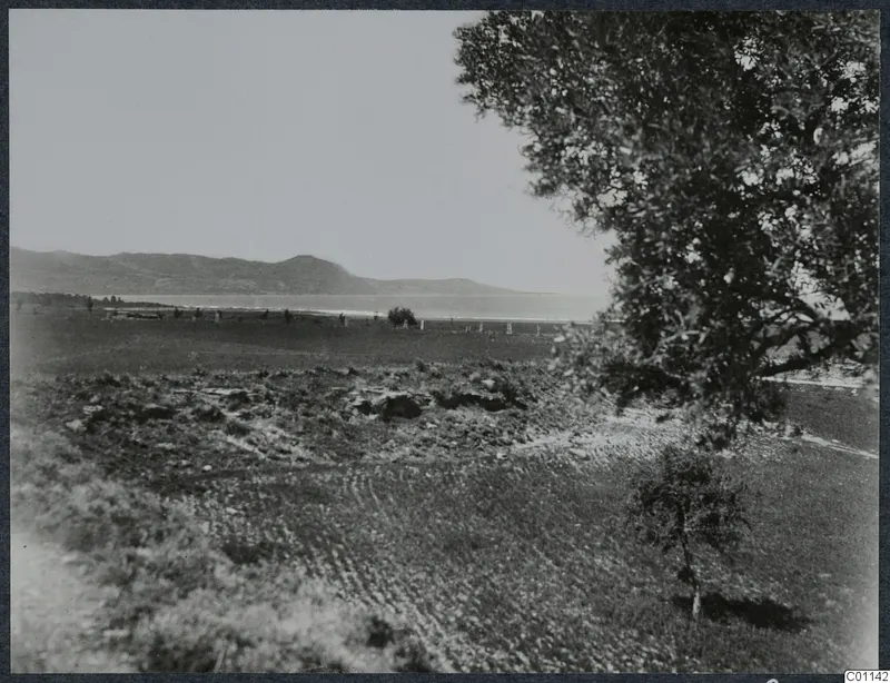 View across fields at Marion towards low hills, a stretch of water and a large tree in the foreground