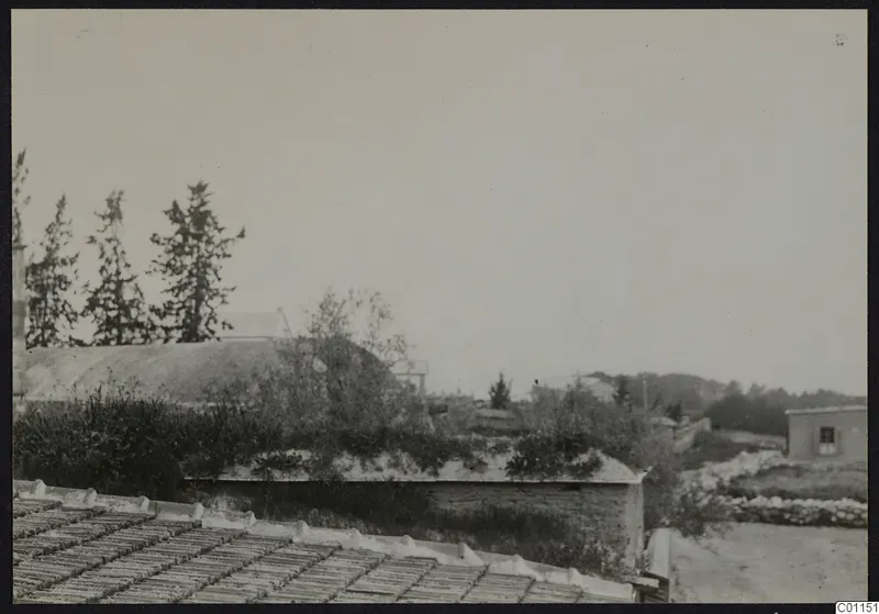 Buildings, a stone wall and trees seen from a rooftop at Marion, under an empty pale sky.