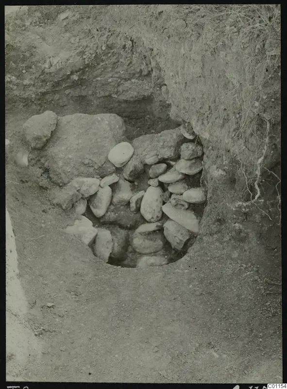 Excavation at Tomb 8 at Marion: a round opening in the soil packed with stones, with roots on the earth face.