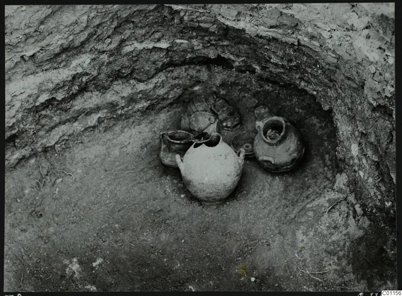 Pottery vessels in situ in Tomb 8 at Marion during excavation, seen in a hollow in the soil wall