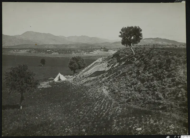 Mountains, a lone tree and a white tent on a grassy slope at Marion