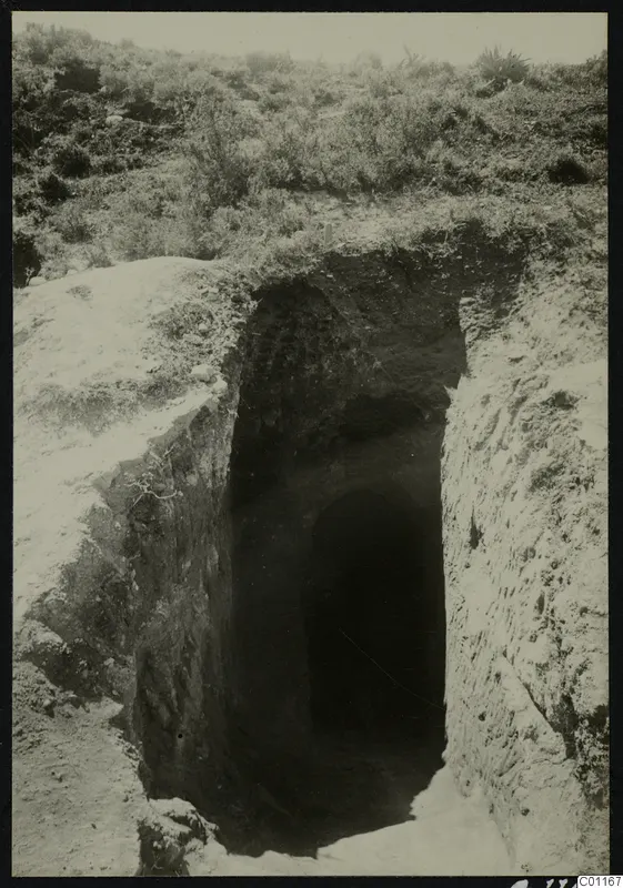 Tomb 11 at Marion during excavation, a deep cut dromos leading to a dark tomb opening