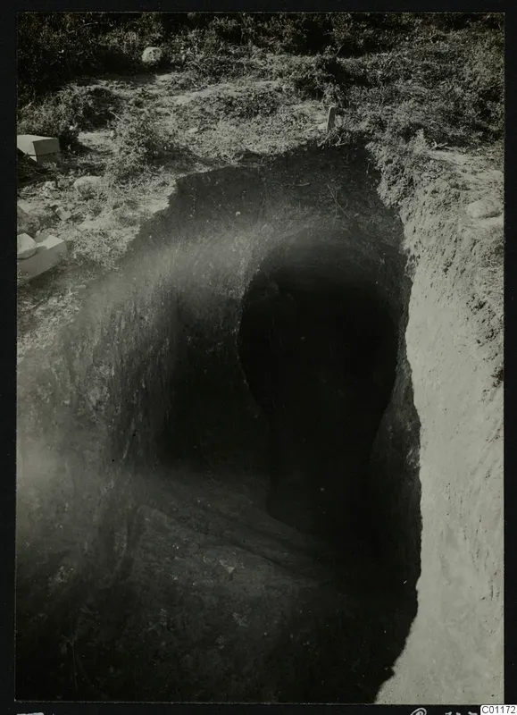 Excavation at Tomb 12 at Marion, showing the sloping dromos leading down to the dark tomb entrance.