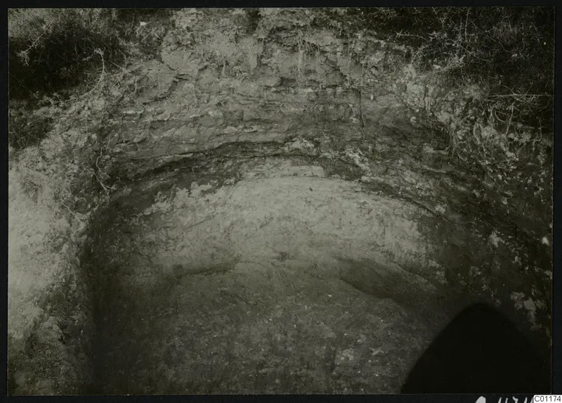 Excavated tomb cut at Marion seen from above, with layered soil walls and grass and roots along the top edge.