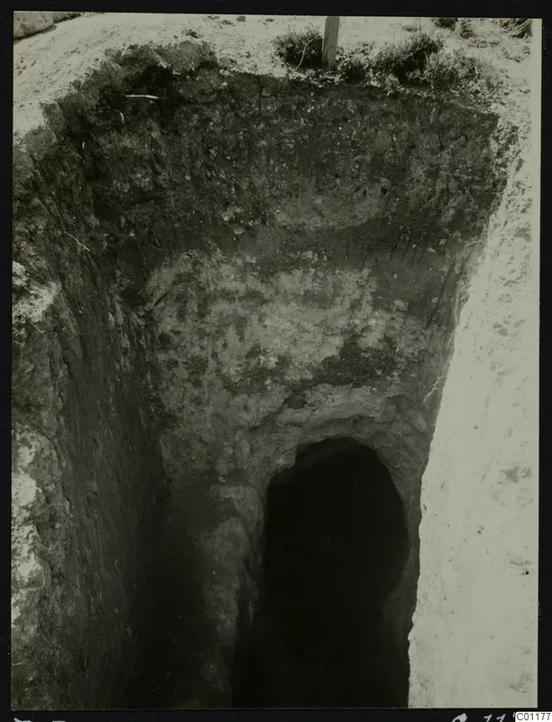 Tomb 5 at Marion during excavation, looking down a sloping dromos to the dark arched tomb entrance