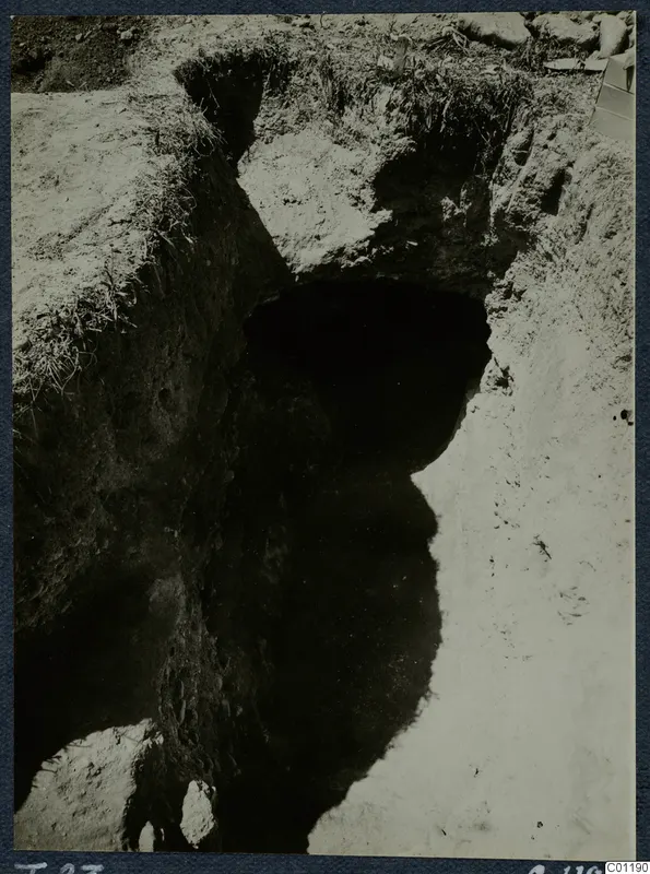 Excavation of Tomb 23 at Marion, with a dark opening cut into pale soil and grass along the top edge.