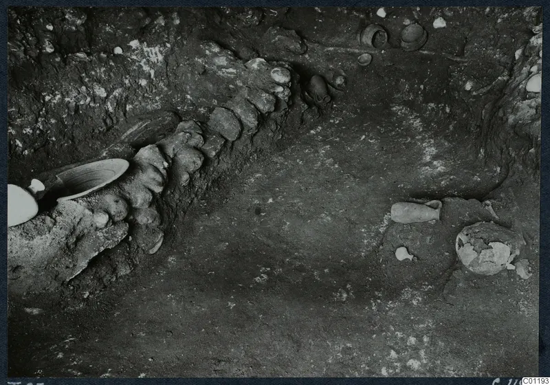Excavation view at Marion showing pottery vessels in situ beside a row of stones in the soil