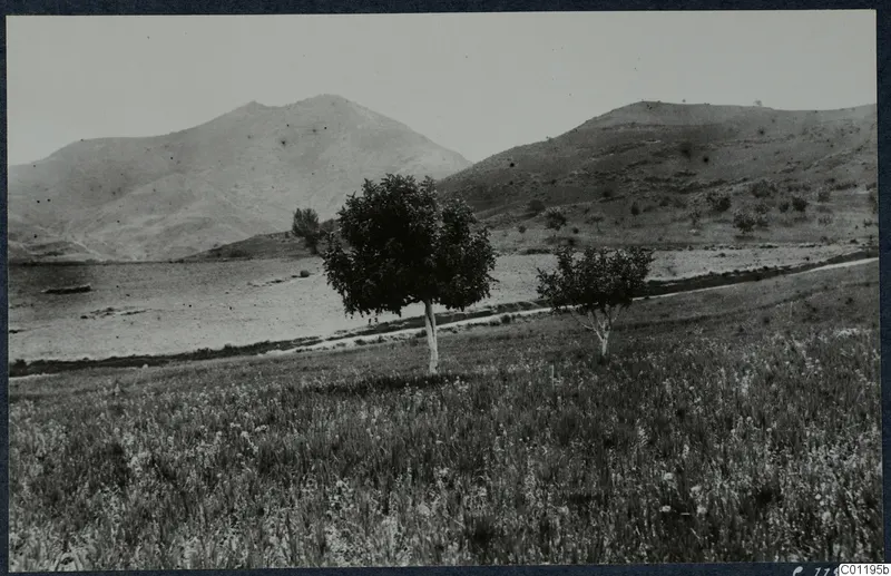 Open grassy field with two small trees, with hills and a mountain rising behind a pale flat plain.