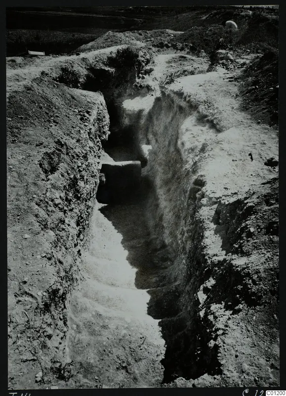Tomb 14 at Marion during excavation, showing stone steps descending a narrow cut between earth banks.