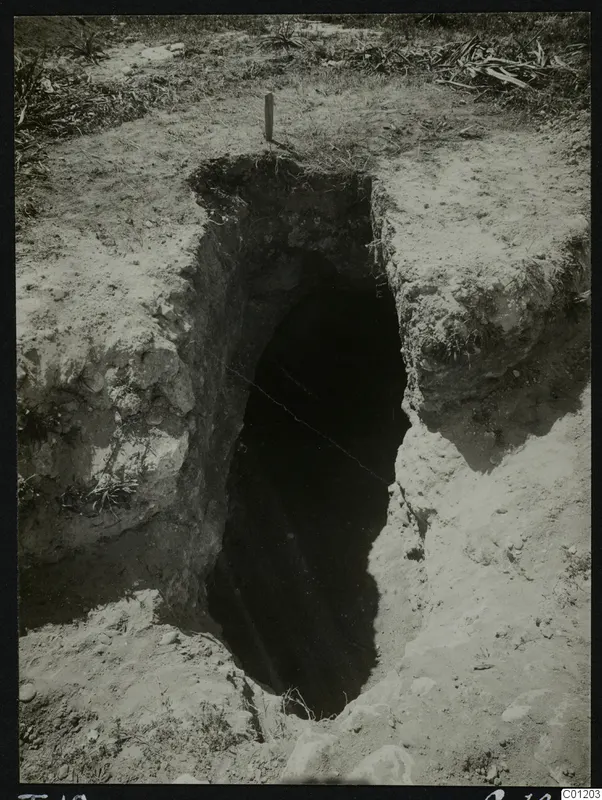 Excavated opening of Tomb 18 at Marion, its dark interior descending into pale soil, with a wooden stake at the top edge.