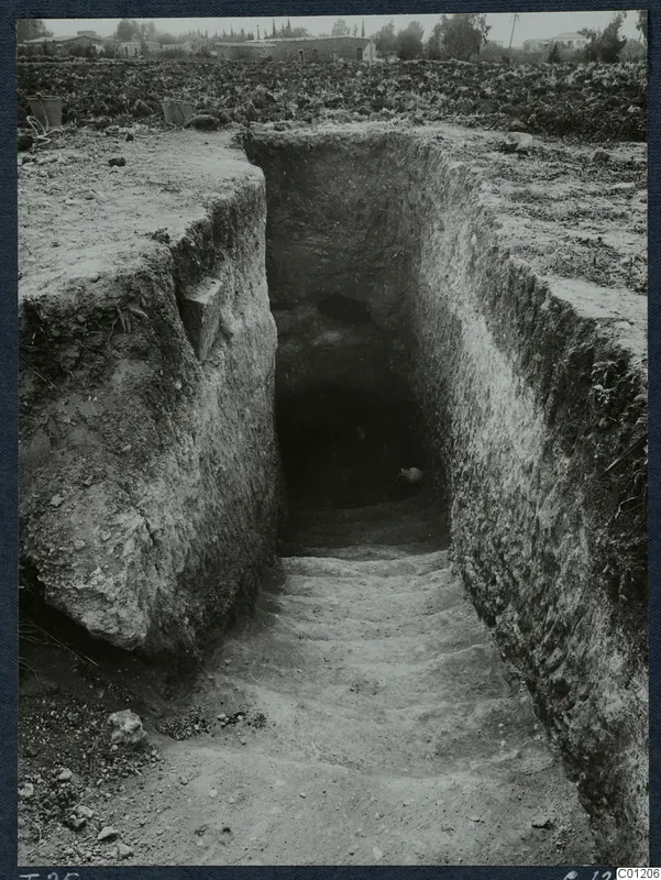 Dromos of Tomb 25 at Marion, a stepped passage cut into the ground leading down to a dark tomb opening