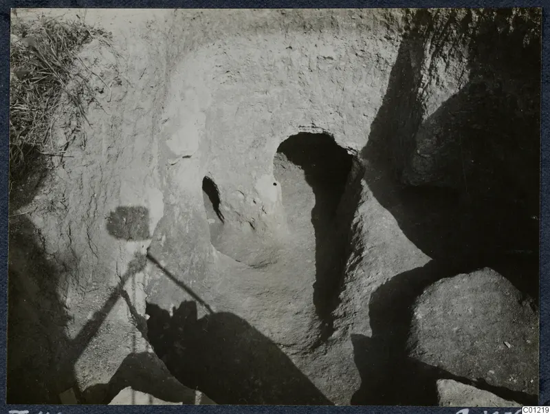 Rock-cut tomb opening with a rounded doorway in an excavated earth bank at Marion