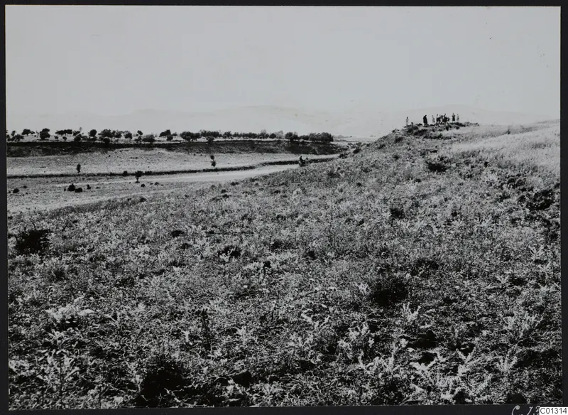 View over grassy slopes, a dirt track and fields at Marion, with hills behind and a small group of people on a rise at right.