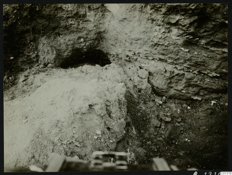 Excavation at Marion showing a dark rounded opening in a cut earth face, with stones and small roots.