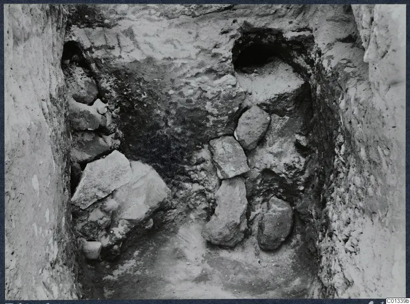 Excavation cutting at Marion with stones lying in a narrow trench between rough earth walls, with dark openings at the back