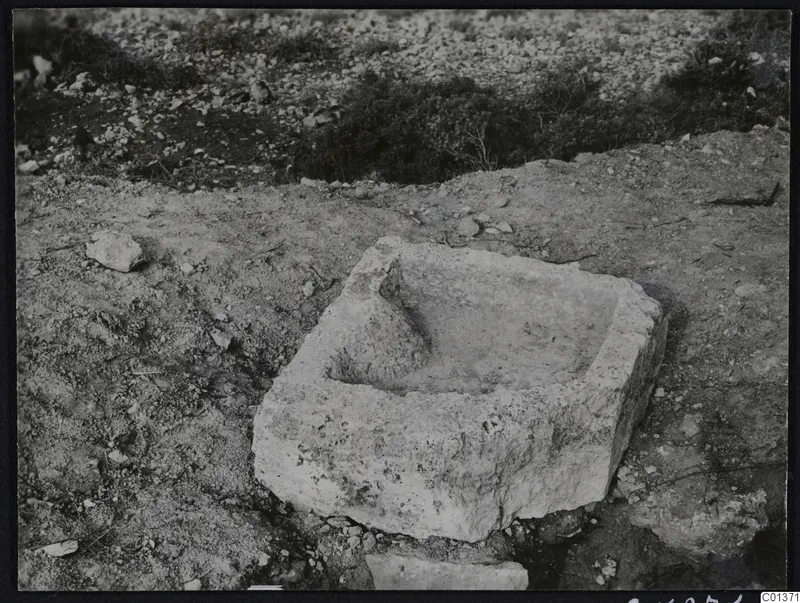 Rectangular stone trough with a rounded lump rising inside its hollow, lying on stony ground with low scrubby plants behind.