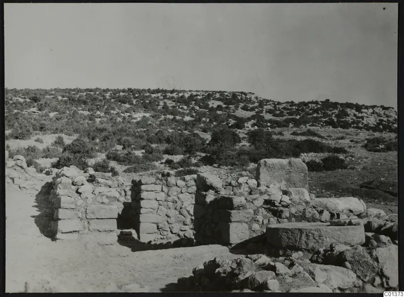 Stone walls and fallen blocks among scrub at Nitovikla, with hills behind.
