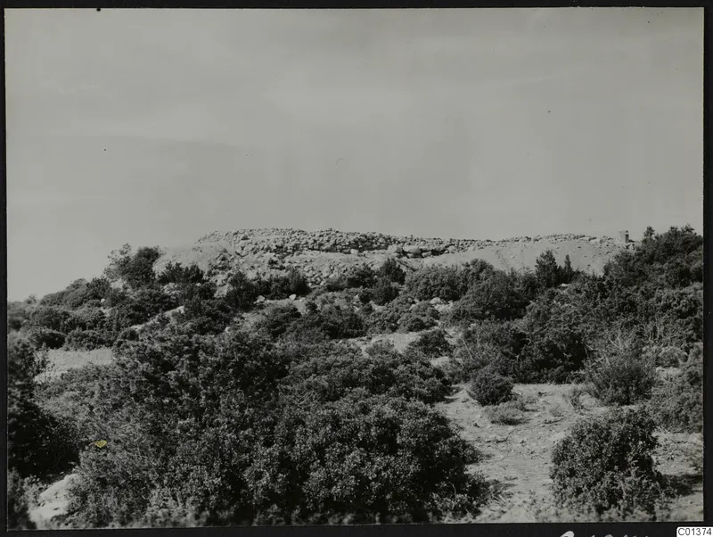 Rocky hilltop with dense scrub bushes on the slope, at Nitovikla on the Karpas Peninsula