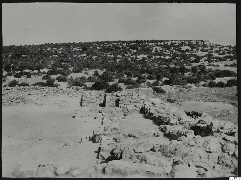 Low stone walls and fallen stones among scrub at Nitovikla, with a hillside of bushes behind