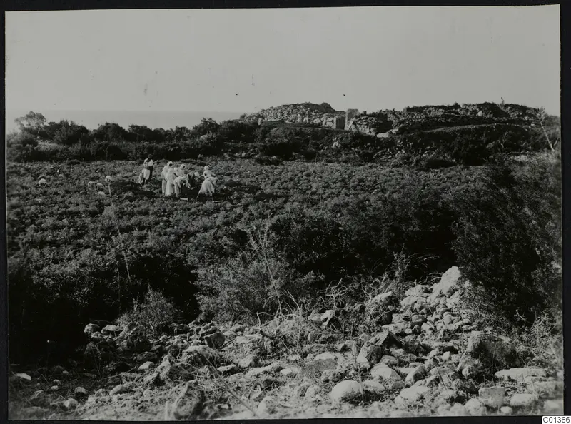 Scrubby field at Nitovikla on the Karpas Peninsula, with a group of people in pale clothing among stones and bushes.