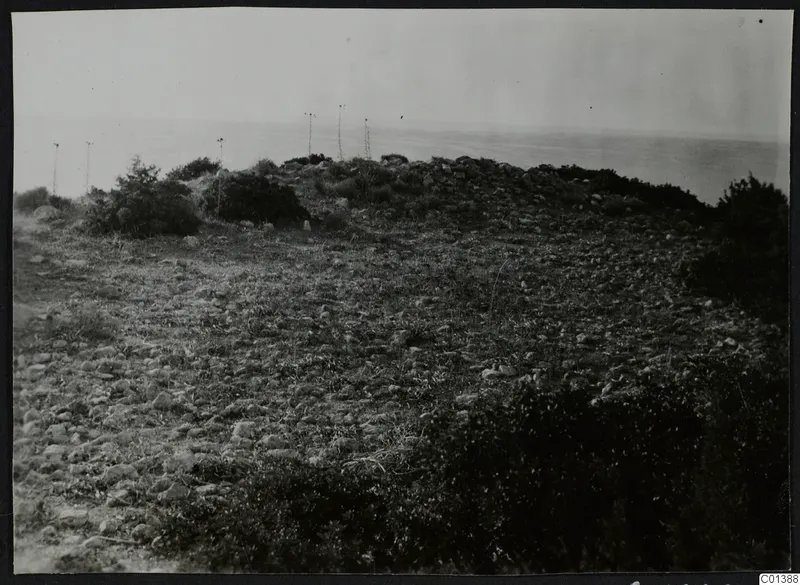 Stony ground with low scrub and a rounded rise running toward the sea at Nitovikla on the Karpas peninsula