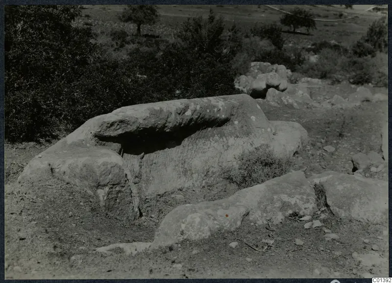 Large stone block with an overhanging slab on a scrubby hillside, with a tree in the background, Karpas peninsula