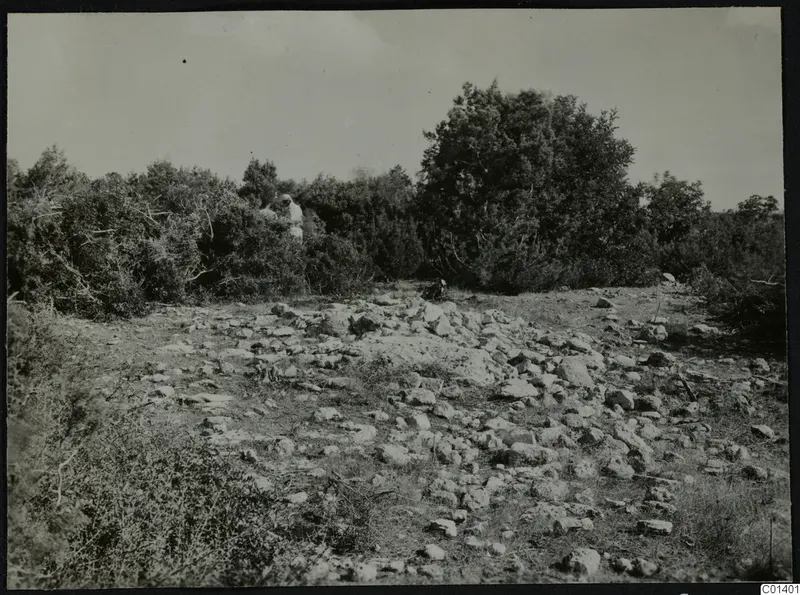 Scattered stones and scrub at Nitovikla on the Karpas Peninsula, with a person standing among the bushes