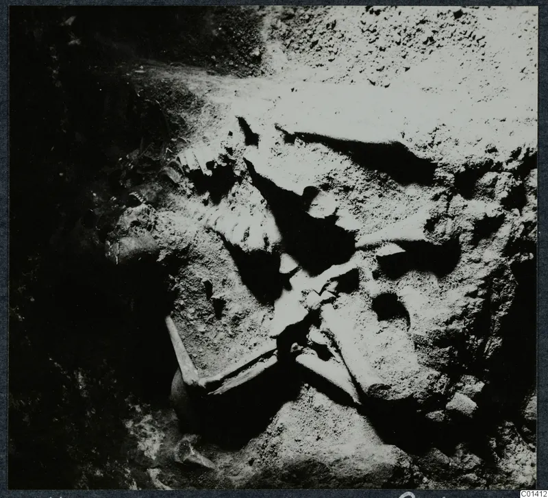 Skeleton in Tomb 14 at Ayios Iakovos during excavation, with rib and long bones lying in packed soil.
