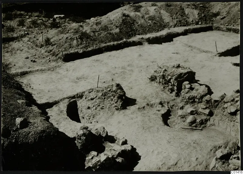 Excavation at Ayios Iakovos with pale floor surfaces, stone heaps and marker stakes