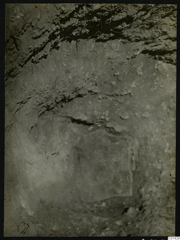 Excavation at Kountoura Trachonia, with a pale flat stone visible in the earth wall of the cut.