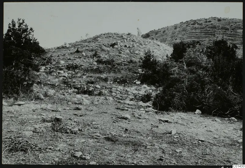 Stony mound with scrub bushes at Palaeoskoutella, seen from the south-west, with a small figure on the skyline