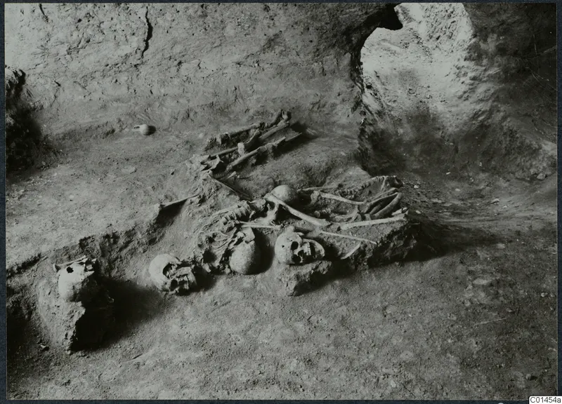 Skeletal remains and skulls on the floor of Tomb 14 at Ayios Iakovos during excavation
