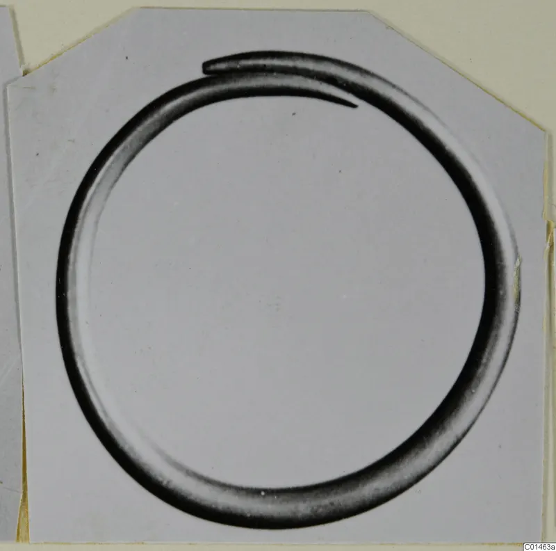 Open metal ring with tapering, overlapping ends, photographed on a grey card mount