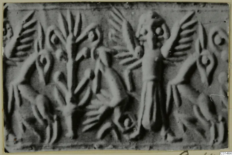 Enlarged photograph of a carved stone seal with a standing robed figure, a tall stylised plant and winged figures in relief