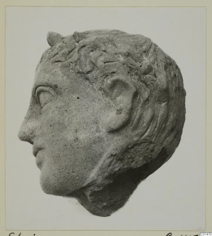 Head in profile facing left, with curled hair and ear, from Stagion, shown on a photograph mount
