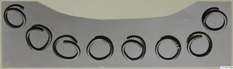 Eight coiled rings in round recesses of a grey mount, finds from Marion tombs 46–60