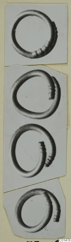 Four rings from Marion, each photographed separately and mounted together on a card.