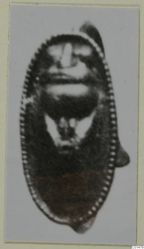 Blurred photograph of a single oval object with a dotted rim and a small loop, mounted on a pale card.