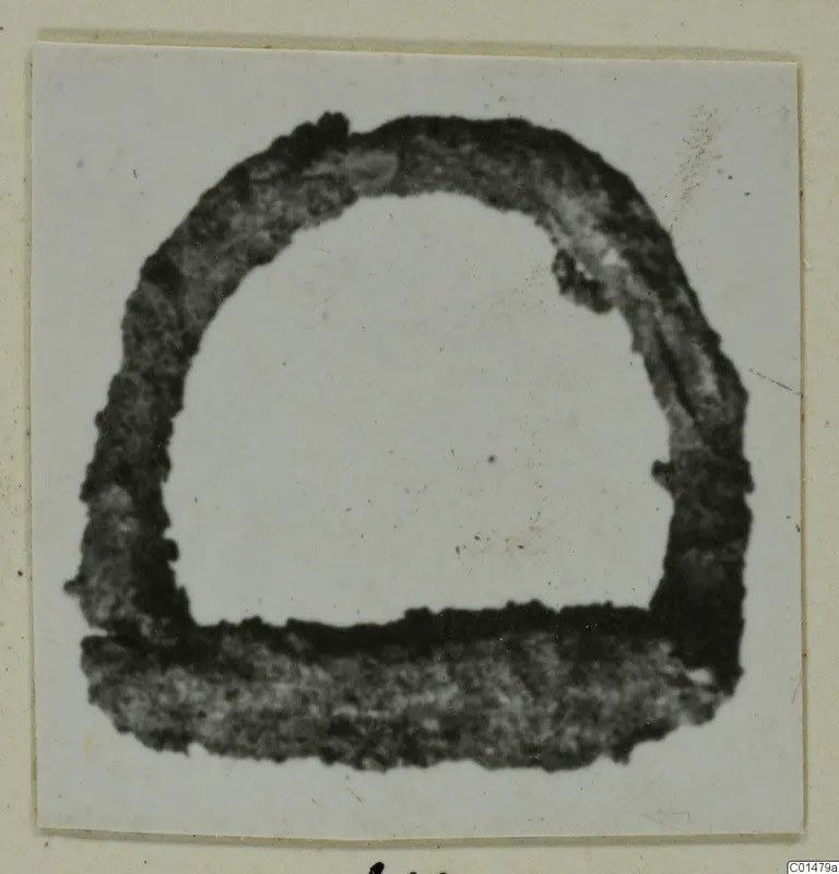 Ring from Marion, shown as a dark, thick ring-shaped object against a pale background