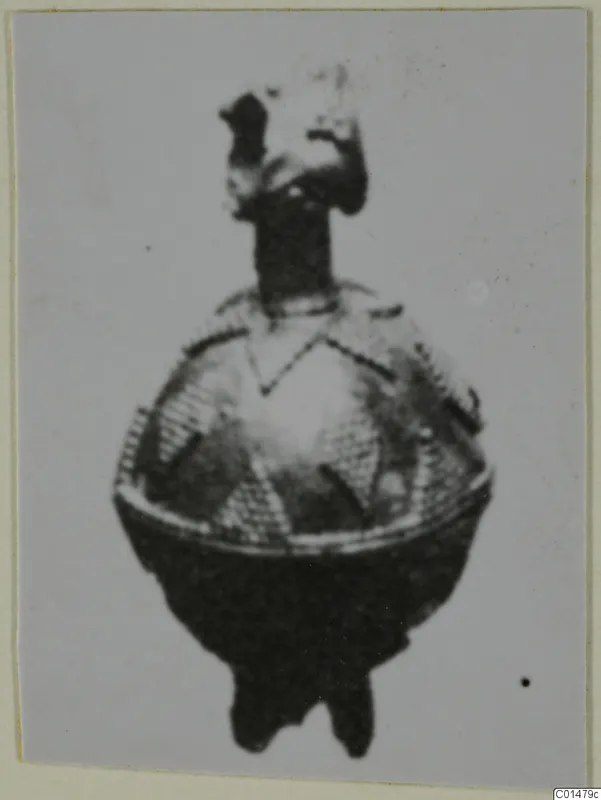 Blurred photo of a small object with a rounded body, narrow stem and fine lattice pattern, mounted on card