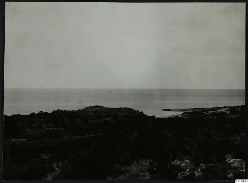 Coastal scrubland at Nitovikla on the Karpas peninsula, with the sea stretching to the horizon.
