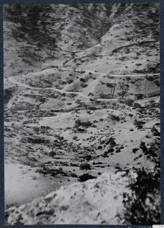 Winding dirt road across dry hills near Vouni, with scrub and scattered trees.