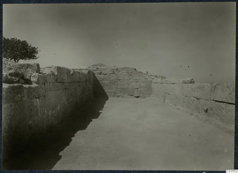 Large dressed stone walls flanking a levelled passage at Vouni, with a tree at the left edge.
