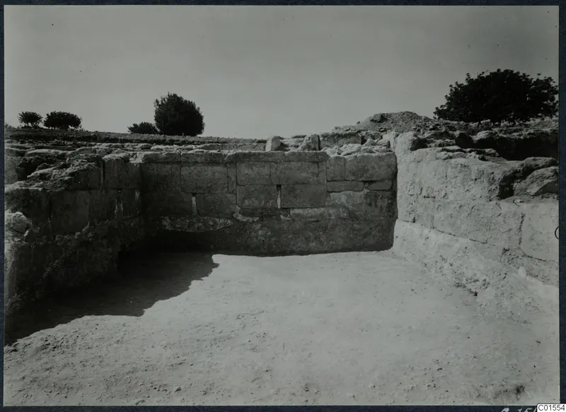 Stone wall of large squared blocks in an excavated area at Vouni, with a tree and shrubs behind.