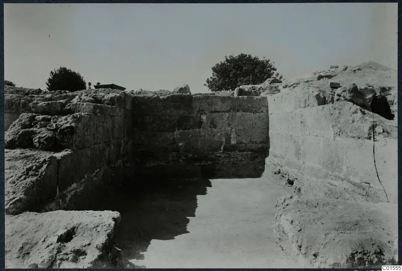 Excavated walls of large squared stone blocks at Vouni Palace, with a tree behind and a cleared floor in front